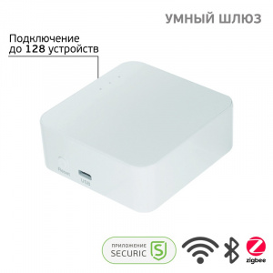 Умный Wi-Fi/Zigbee/Bluetooth шлюз SECURIC