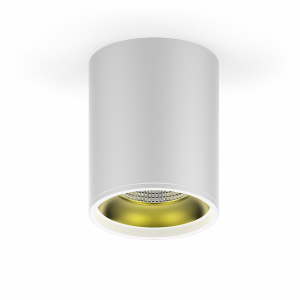 Gauss LED светильник накладной HD010 12W (белый золото) 3000K 79x100,900лм