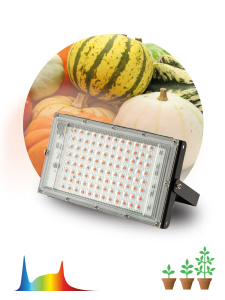 ЭРА Фитопрожектор для растений светодиодный FITO-80W-Ra90-LED-Y полного спектра